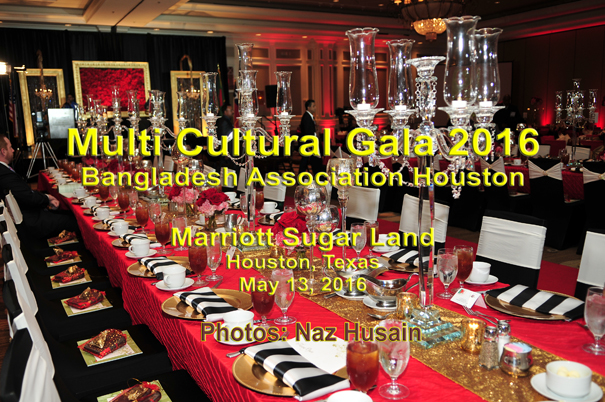 2016 Multi Cultural Gala Marriott Sugarland May 13 (NH)